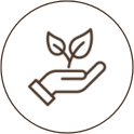 Alt Image